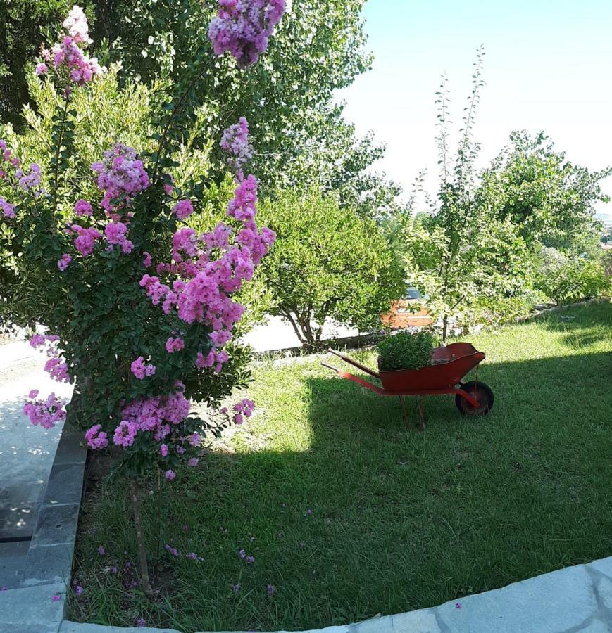 Studios Thea Fresh Rooms Thassos Екстер'єр фото