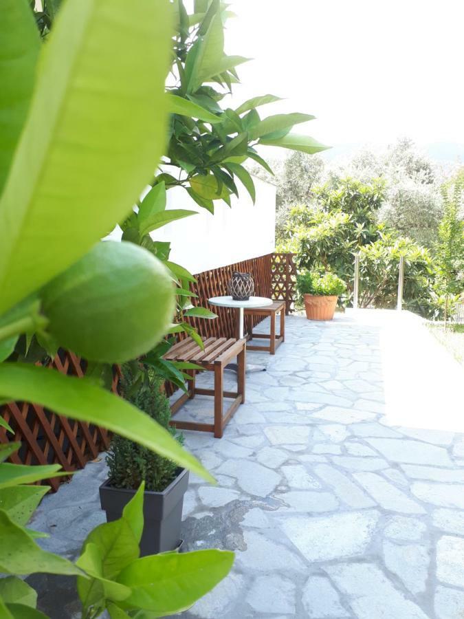 Studios Thea Fresh Rooms Thassos Екстер'єр фото